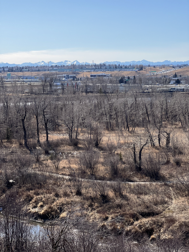 A photo of Beaver Dam Flats Park (Beside Ogden Pharmacy)