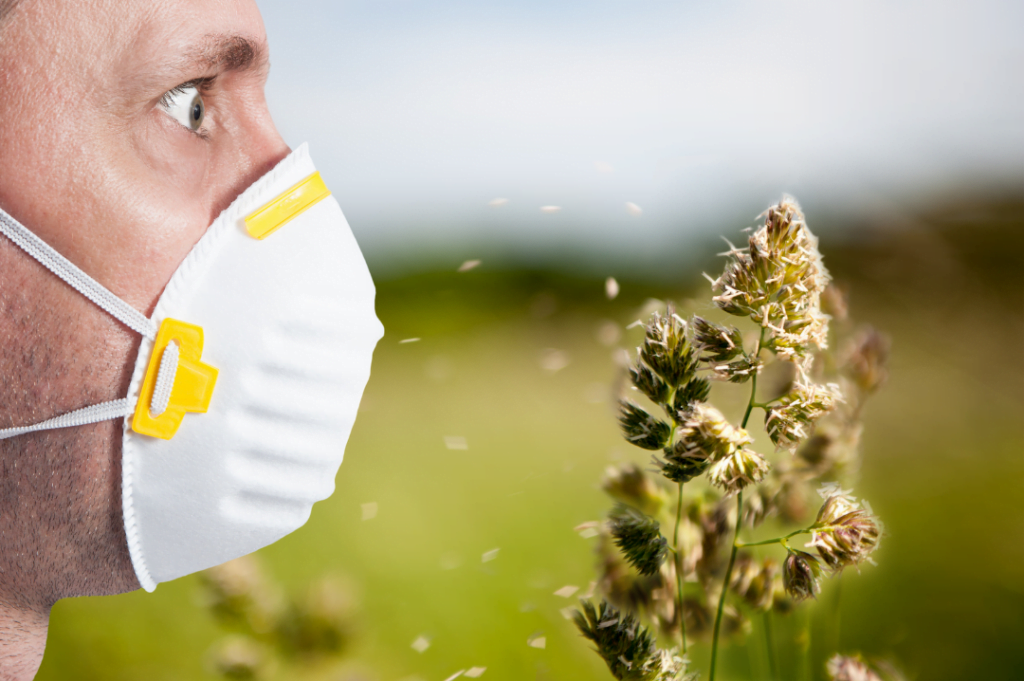 Masks can mitigate your seasonal allergies in Canada (Ogden Pharmacy)